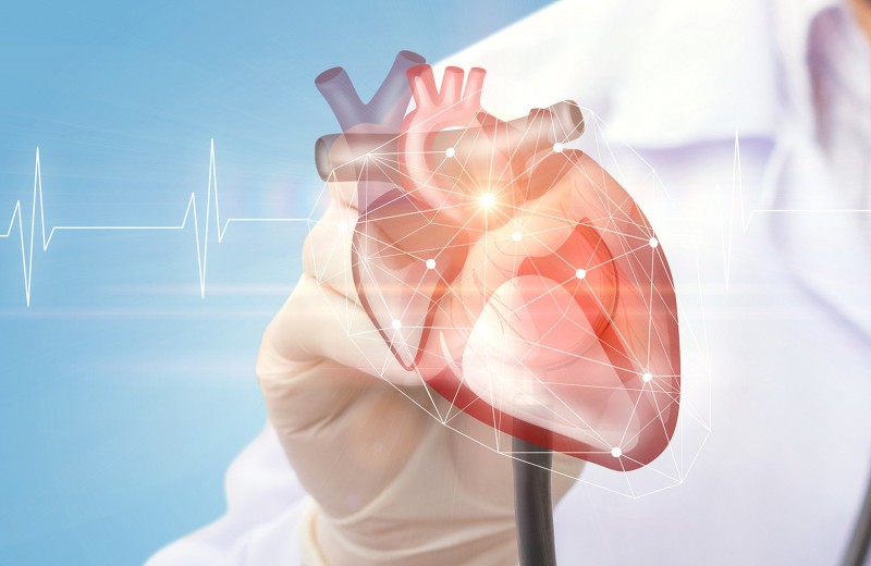 Сердечные электрики: как кардиостимуляторы помогают сердцу биться