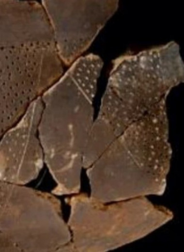 В неолитической керамике из Италии нашли остатки мака и оливкового масла