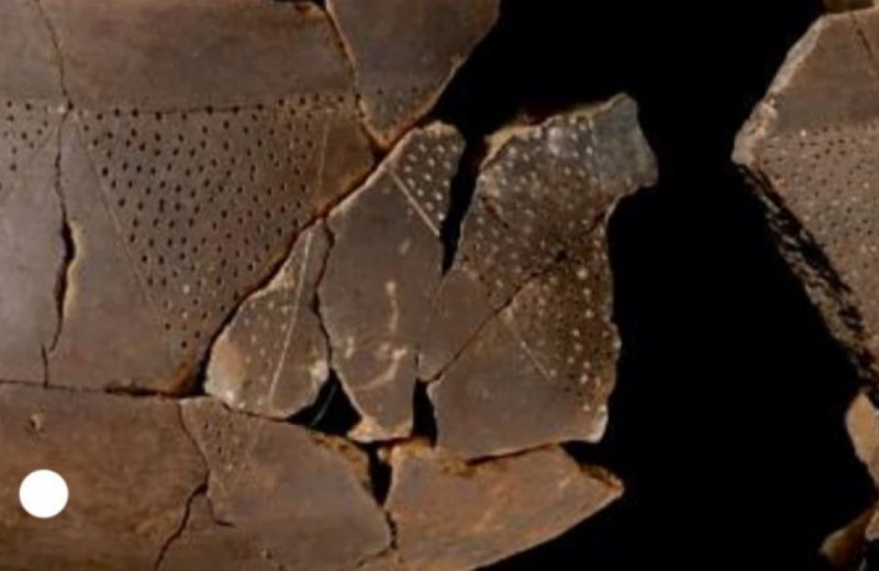 В неолитической керамике из Италии нашли остатки мака и оливкового масла