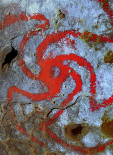 Индейцы пожевали галлюциногенного дурмана и нарисовали его цветок в пещере
