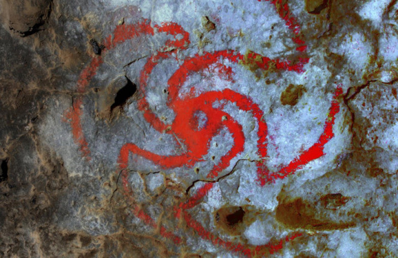 Индейцы пожевали галлюциногенного дурмана и нарисовали его цветок в пещере