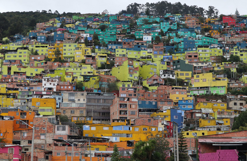 Одна вокруг света: болезнь собаки Греты и арт-район среди трущоб Боготы