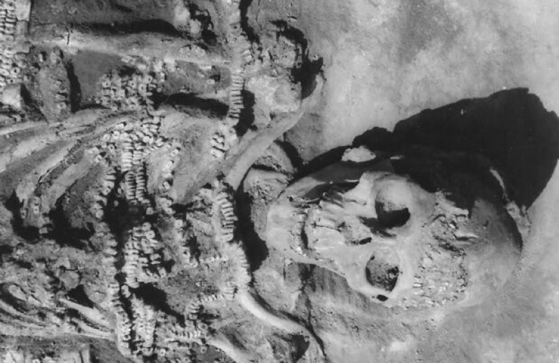 Археологи уточнили хронологию памятника Сунгирь