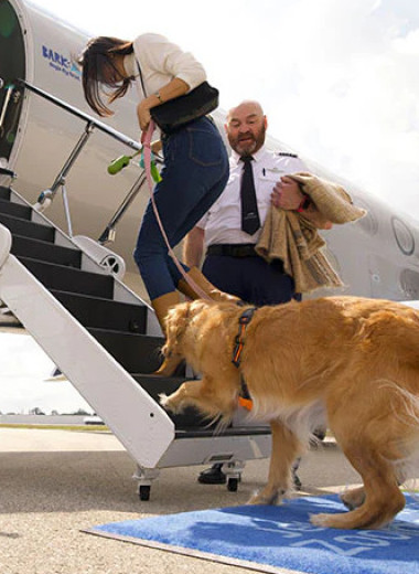 Хвостатый рейс: в США открыли авиакомпанию премиум-класса для собак