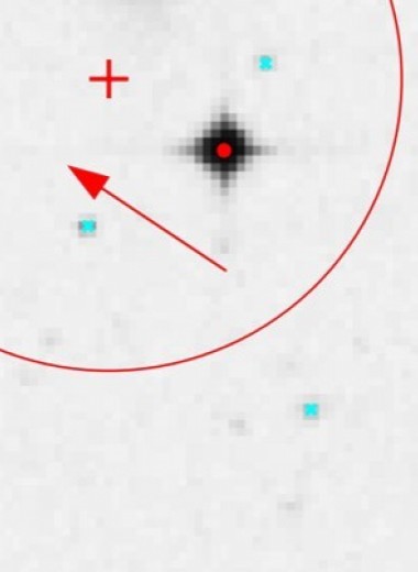 TESS нашел первую экзопланету в толстом диске Млечного Пути