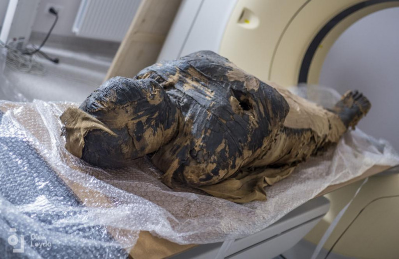 Они боялись утратить душу: восстановлено лицо единственной в мире беременной мумии
