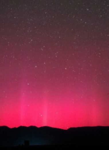 В древесине выявили следы солнечно-протонного шторма 800-летней давности