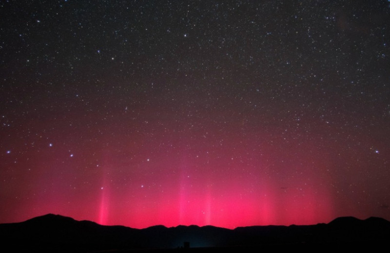 В древесине выявили следы солнечно-протонного шторма 800-летней давности