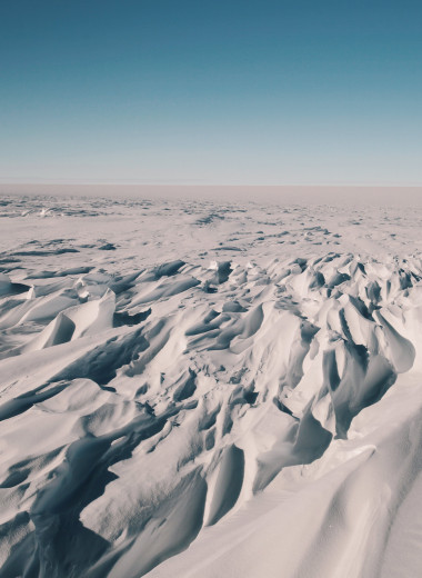 Нырнуть в вулкан, пробежать марафон: чем заняться в Антарктиде «летом»