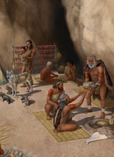 Генетики выявили древнейших достоверных собак