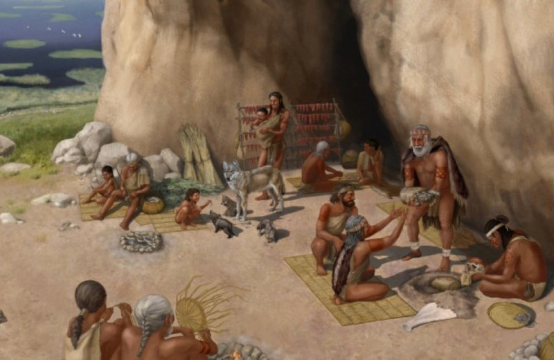 Генетики выявили древнейших достоверных собак