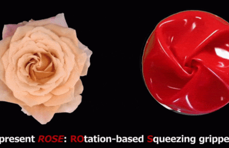 Похожий на цветок розы мягкий манипулятор поможет собрать урожай