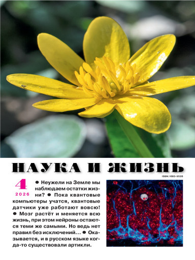 Наука и жизнь