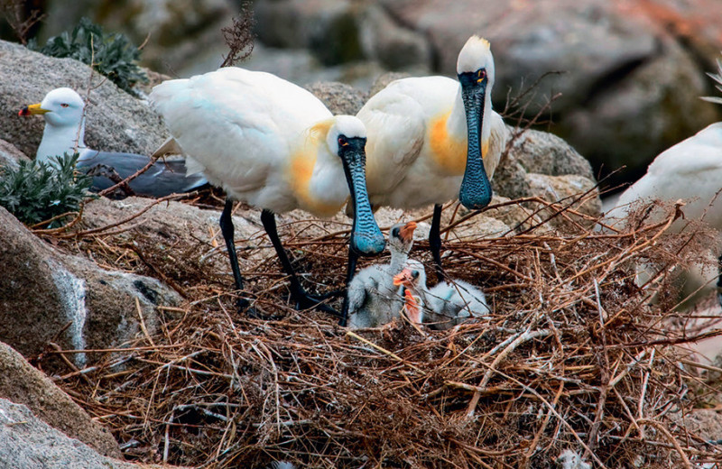 Заповедные новости