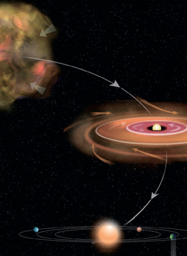 Искать основы жизни