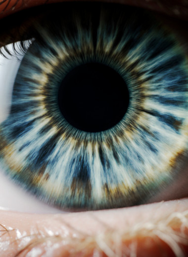 Меланин — универсальный чёрный