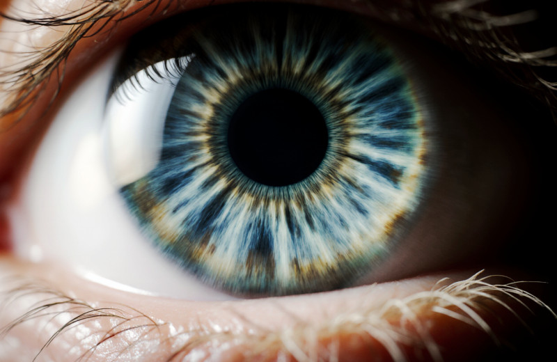 Меланин — универсальный чёрный