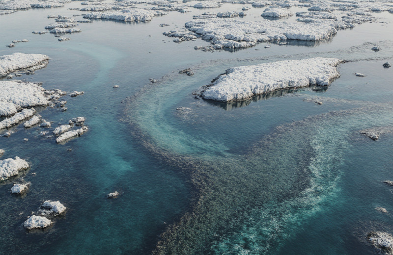 Откуда и когда на Земле появилась вода?