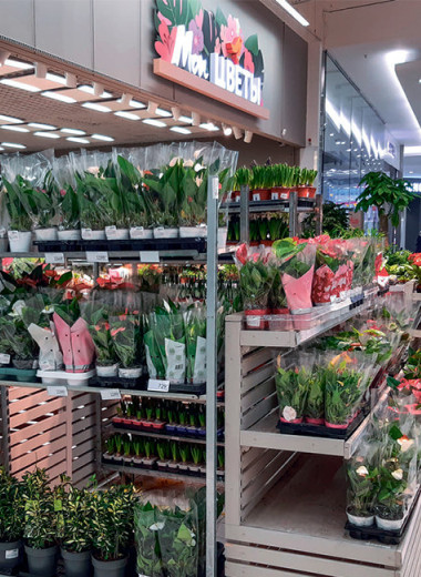 Учимся понимать наши растения