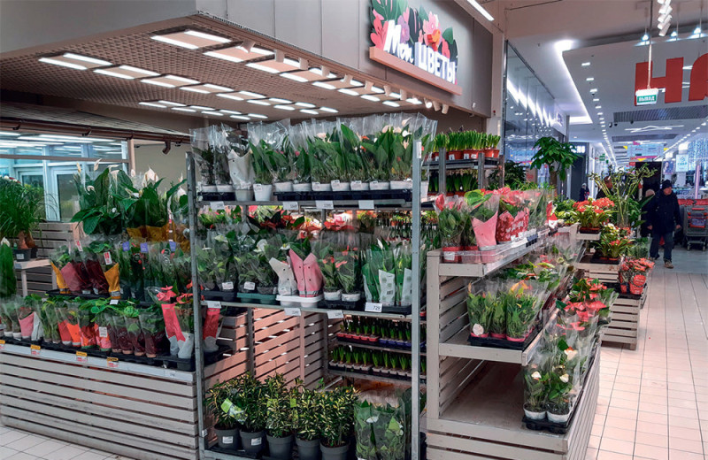 Учимся понимать наши растения