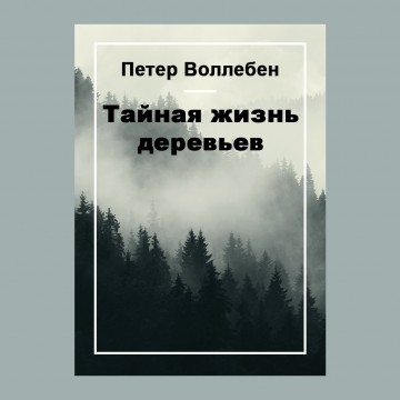 Тайная жизнь деревьев