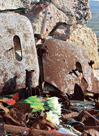 Дикий Кольский