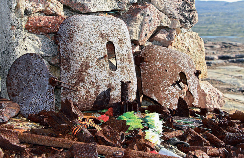 Дикий Кольский