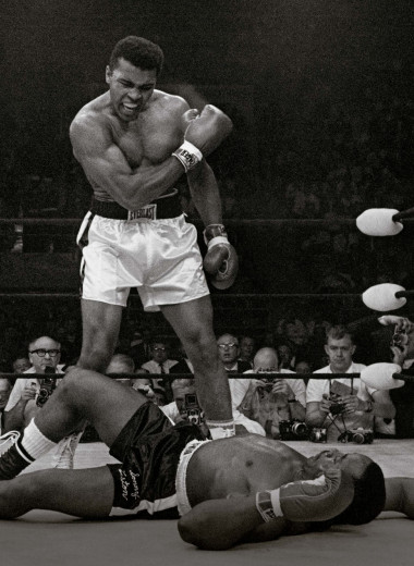 Сладкая наука