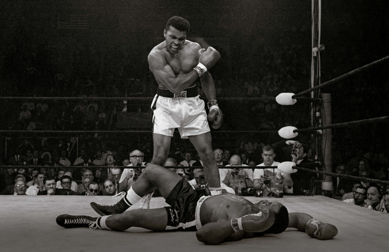 Сладкая наука