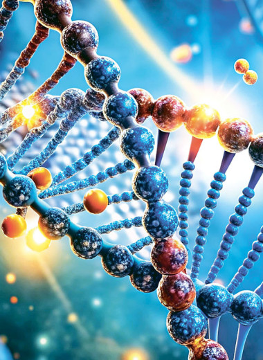 Код здоровья