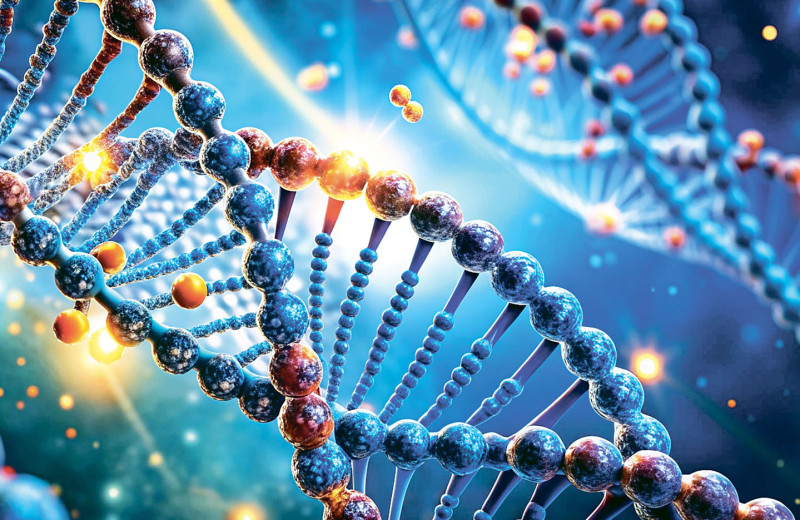 Код здоровья