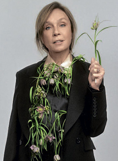 Давай дружить