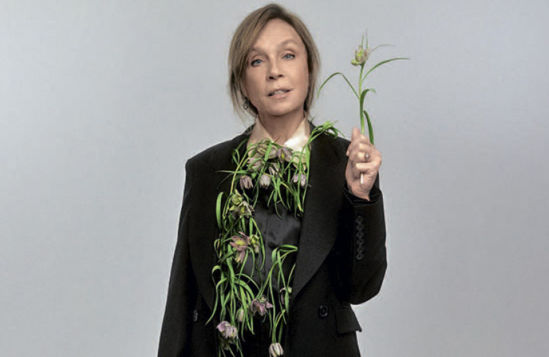 Давай дружить