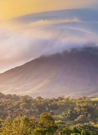 Страна зеленого цвета