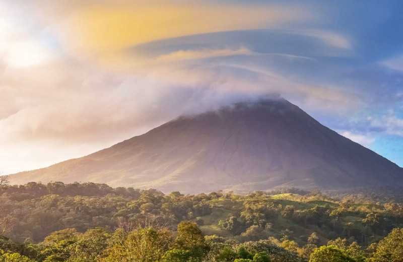 Страна зеленого цвета