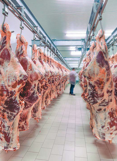 Кризис не помешал нарастить мяса