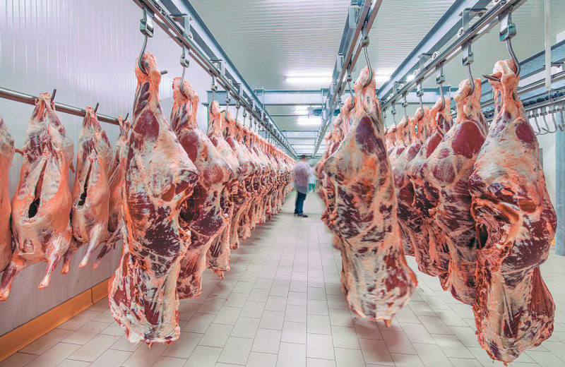 Кризис не помешал нарастить мяса