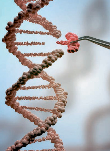 Кто починит ДНК — перевернет мир