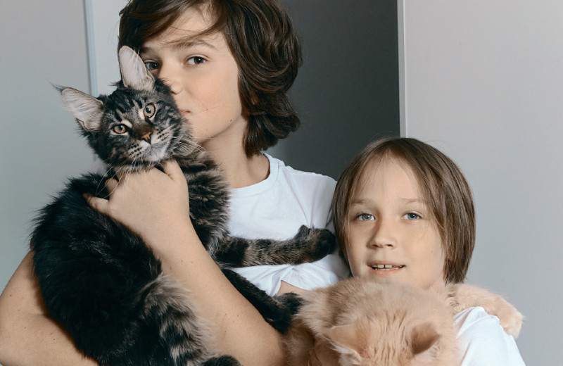 Ох уж эти детки