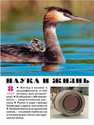 Наука и жизнь