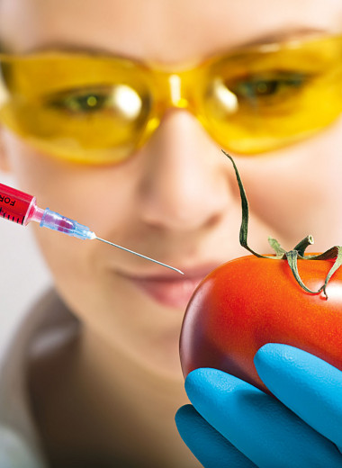 ГМО в продуктах: мифы и реальность