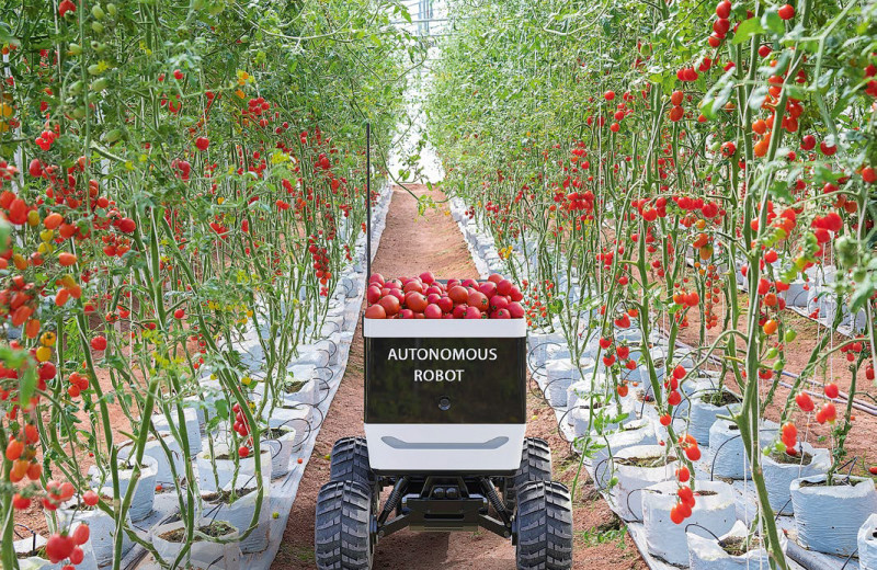 Роботы в аграрной отрасли