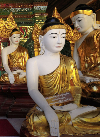 Десять цветов