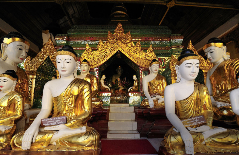 Десять цветов