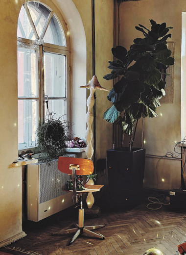 Леопарды в Ереване