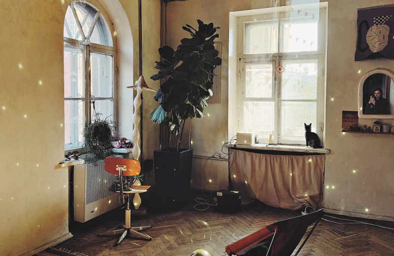 Леопарды в Ереване