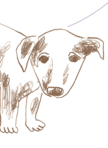 Если у вас нет собаки