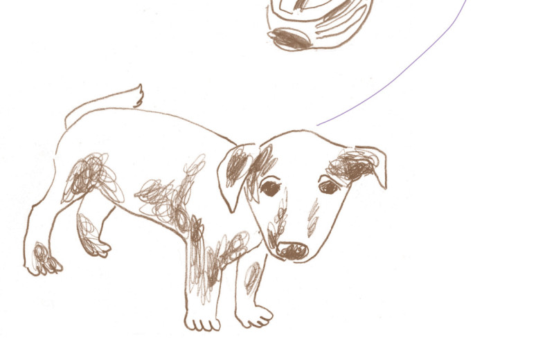 Если у вас нет собаки