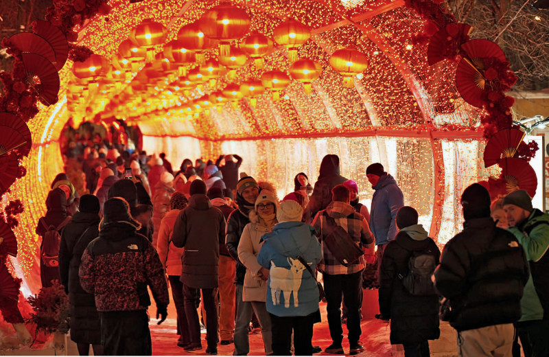 Туризм идет вверх