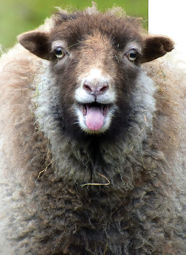 Больше рисков под контролем